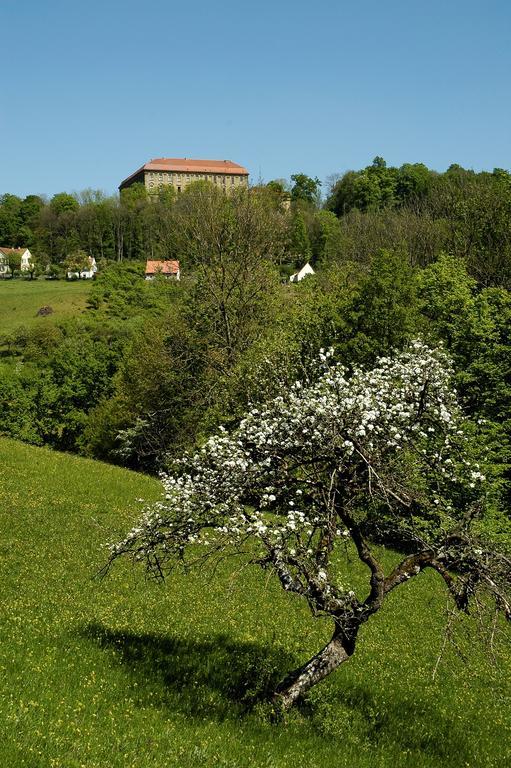 Gasthof Adler Schillingsfürst Extérieur photo